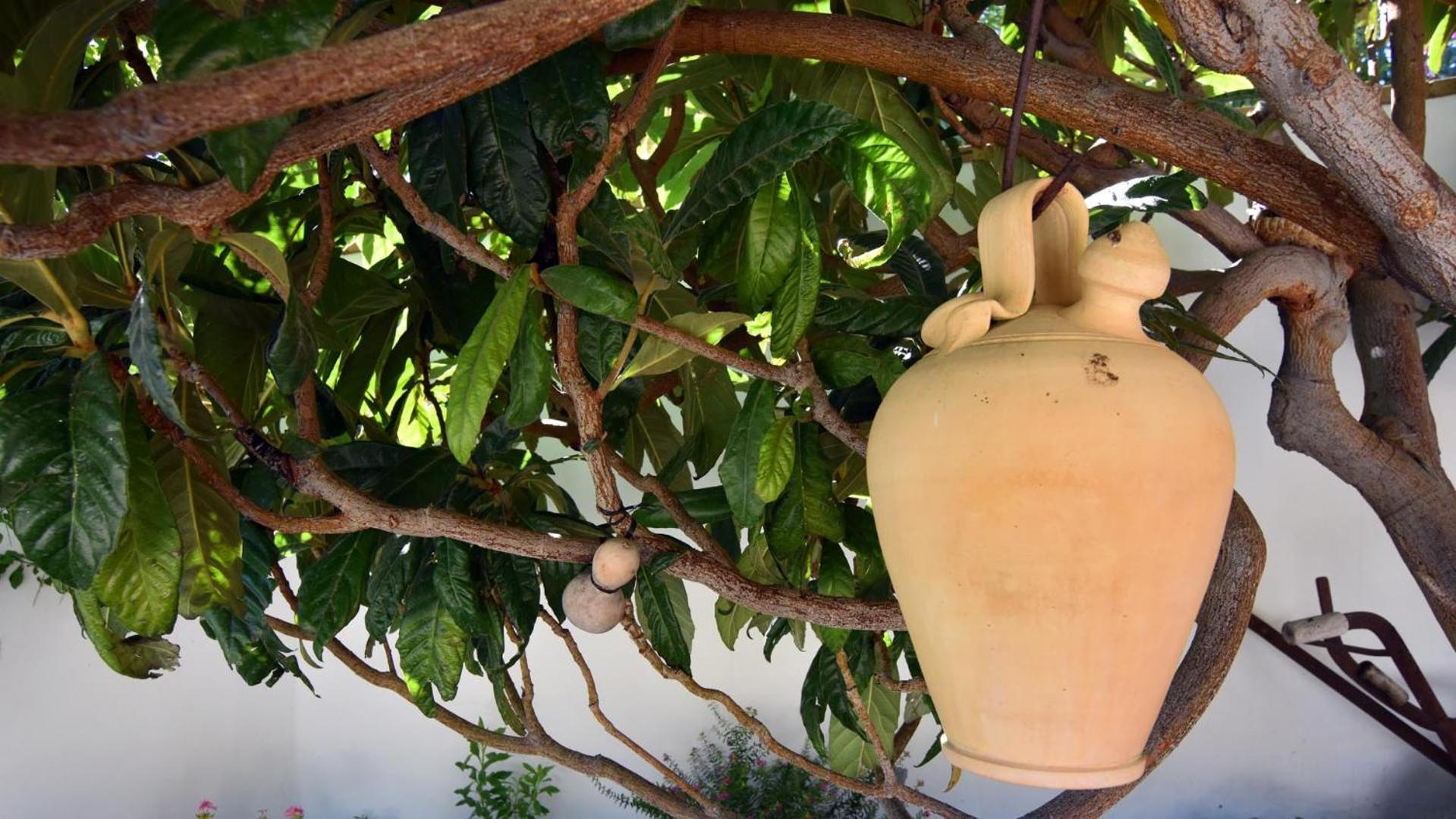 Villa Francisco Frigiliana Εξωτερικό φωτογραφία